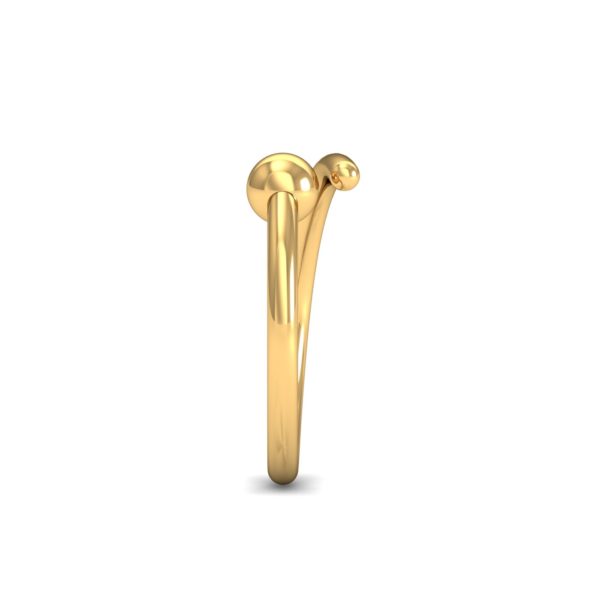 GOLD NOSE RING